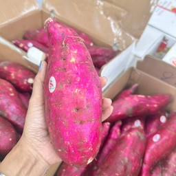 มันญี่ปุ่น 2.5-3 กก./กล่อง