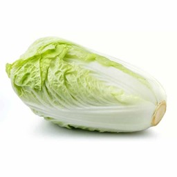 ข้าวราดผักกาดขาวเต้าหู้ไข่