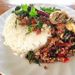 กะเพรากบราดข้าว