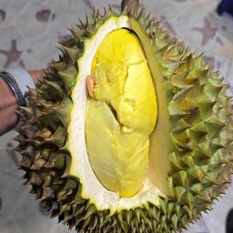 ทุเรียนแกะเนื้อล้วน ครึ่งkg.