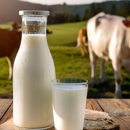 นมสดร้อน