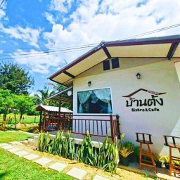 บ้านต้ง