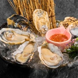 เซตหอยนางรม