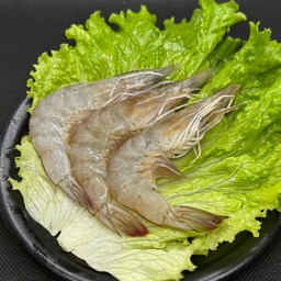 กุ้งขาว