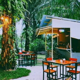 Cozy in palm tree and lake view