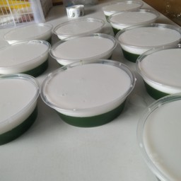 วุ้นใบเตย