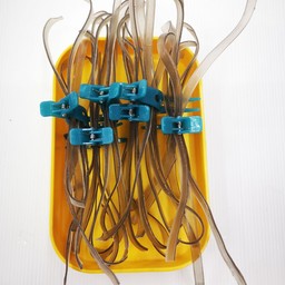 เส้นหนึบมันม่วงไทใหญ่