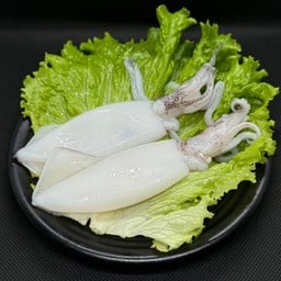 ปลาหมึก