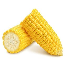 ข้าวโพดหวาน