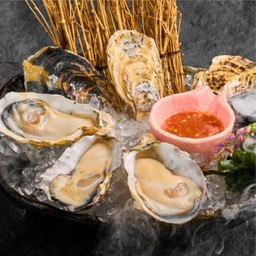 เซตหอยนางรม