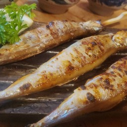 ปลาไข่ย่าง