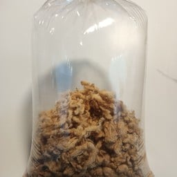 ขาหมูโกบอย ตลาดคนเดินสาย4