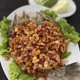 ปลากระพงทอดลุยสวน