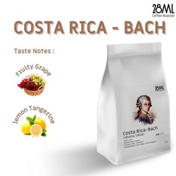 Costa Rica Bach (M)
