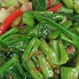 คะน้าหมูสับ ราดข้าว