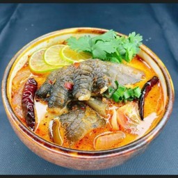 ต้นยำจระเข้