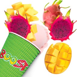 Dragon Fruit Paradise