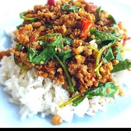 กระเพราหมูสับ ( กับข้าว )