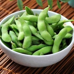 Check In - Klong 6 -