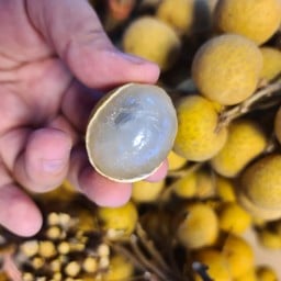 ลำไยอีดอ 1กิโลกรัม