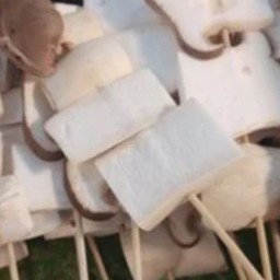 เห็ดออรินจิ