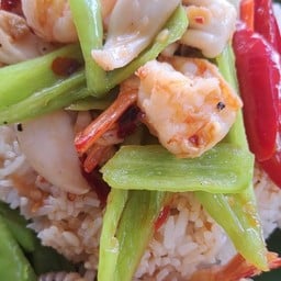 พริกหยวกทะเล