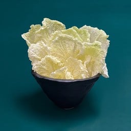 ผักกาดขาว