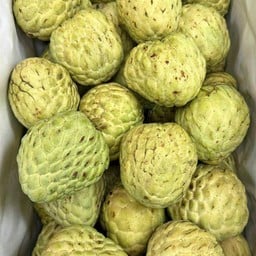 น้อยหน่าเพชรปากช่อง 1กิโลกรัม