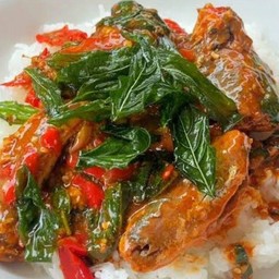 กระเพราปลากระป๋อง(ราดข้าว)ให้1กระป๋องจร้า