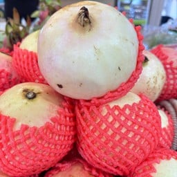 ทับทิม1 ลูก