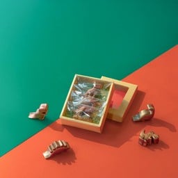 4D Christmas Dinosaurs