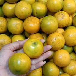 ส้มสายน้ำผึ้ง 1กิโลกรัม