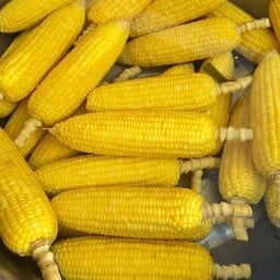 ต้มข้าวโพด