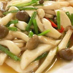 ผัดเห็ดน้ำมันหอย(ราดข้าว)