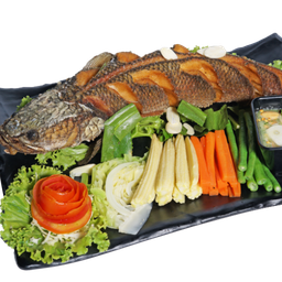 ปลาช่อนลุยสวน