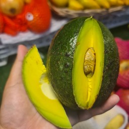 อะโวคาโดพื้นเมือง 1กิโลกรัม