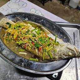 ปลากะพงตัวนึ่งซีอิ้ว