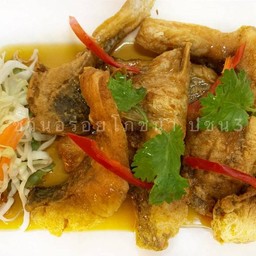 D เนื้อปลากะพงทอด ราดน้ำปลา