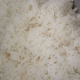 ข้าวเปล่า