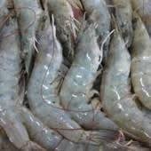 ลานสุขหมูกระทะมาม่าหม้อไฟอาหารจานเดียวมหาชัย -