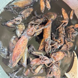 หมึกผัดน้ำดำ ราดข้าว