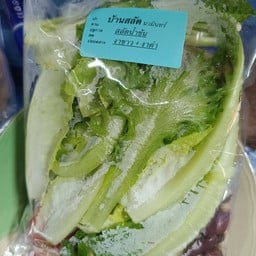 สลัดผัก