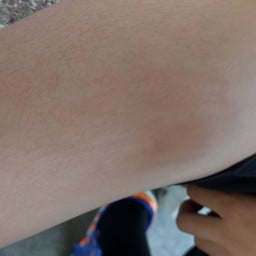 บ้านเฮาเบอร์เกอร์ สุขุมวิท66/1