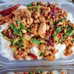 ข้าวกะเพรา 30 บาท