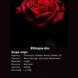 Ethiopia Alo (Single origin)