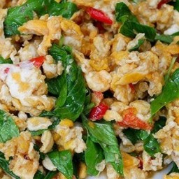 ข้าวหน้าโหระพาผัดไข่ใส่พริก