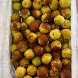 พุทราช็อคโกแลต 1กิโลกรัม