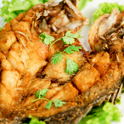 ปลากระพงทอดน้ำปลา