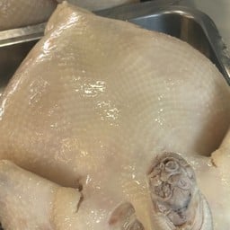 ไก่ตอน 1 ตัว ไซส์ 3kg+-