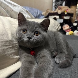 ทิปค่าเปียก น้องไลเกอร์